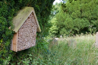 Insect home © David Kilbey