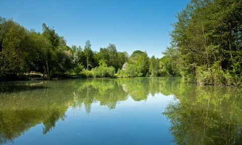 Swanwick Lakes nature reserve in summer by Ian Cameron-Reid