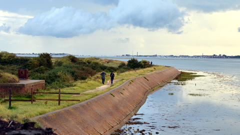 Sea wall at Farlington Marshes nature reserve