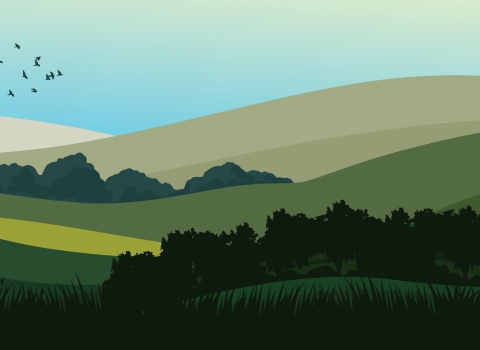 Wilder landscape illustration - hills