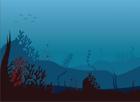 wilder landscape - underwater1