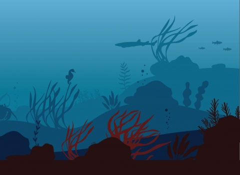 wilder landscape illustration - underwater2