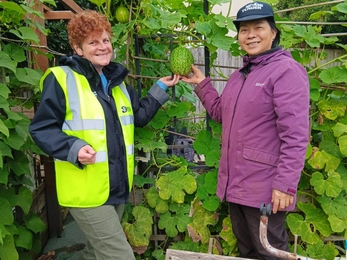 Jill Doubleday wearing a high visibility jacket and Helen in a purple rain coat. They are standing next to a melon growing in an allotment. 