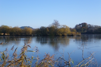 Blashford Lakes nature reserve