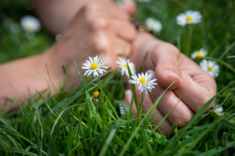 Looking at daisies