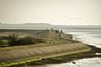 Sea wall at Farlington Marshes