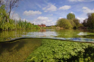 River Itchen at Itchen Stoke Mill