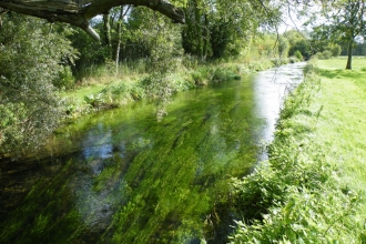 Chalk stream at Winnall Moors © Martin de Retuerto