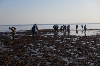 Intertidal survey at Hill Head © Jenny Mallinson
