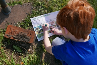 Boy doing invertebrate insight survey