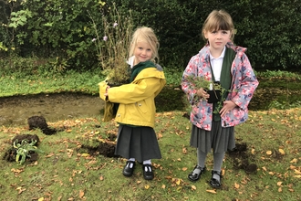 Cheriton Primary School planting wildflowers by the Cheriton Stream © Andrew Goldsworthy