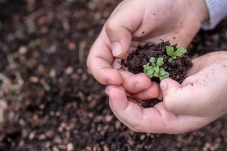 Children's hands holding soil