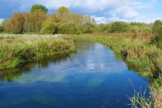 River Itchen