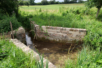 Medium pool at Bere Mill after restoration © HIWWT
