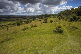 Broughton Down View