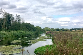 The River Test near Stockbridge © Leesa Yeo