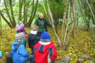 children in woodland