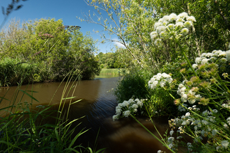 Land acquisition site in the Lymington Valley