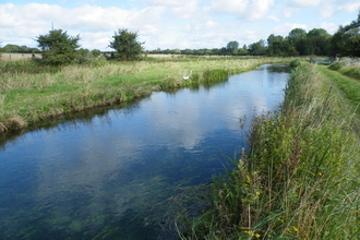 A long straight stretch of chalk stream with long grassy banks either side