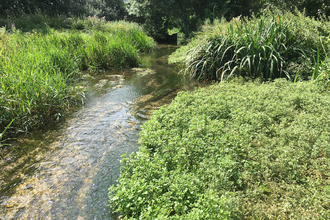 Pillhill Brook at © Wild Trout Trust