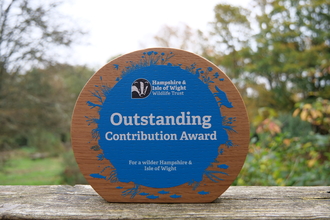 Outstanding contribution award