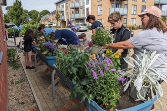 a group of volunteers tending to flowers in plants along an urban street