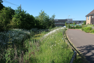 Sustainable Drainage System (SuDS) © Hugh Venables