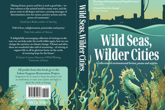 Cover of the book 'Wild Seas, Wilder Cities: A Collection of Environmental Fiction, Poems and Articles.' The artwork features stylized ocean waves with a city skyline merging into a forest. The cover is in green and teal tones with texts about the book’s theme, contributors, and a note that all profits go to the Solent Seas Restoration Project.