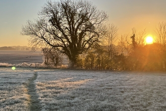 Winter Tree at Sunrise, Susan Simmonds