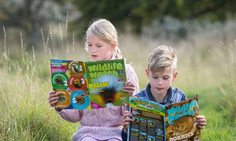 Children reading Wildlife Watch magazine © Matthew Roberts