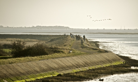 Sea wall at Farlington Marshes