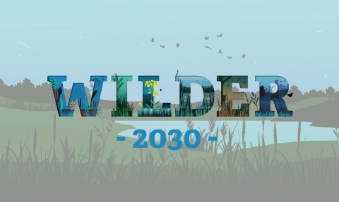 Wilder 2030