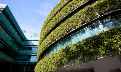 office building with greenery 