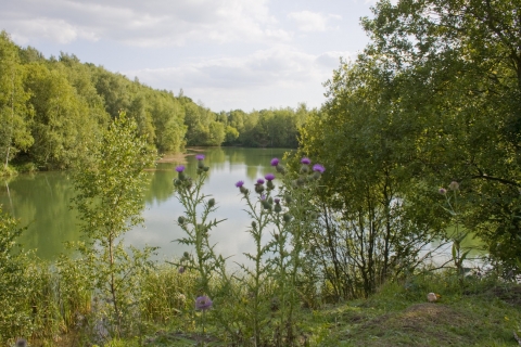 Swanwick Lakes Nature Reserve | Hampshire and Isle of Wight Wildlife Trust