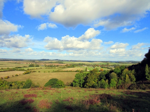 Broughton Down Nature Reserve | Hampshire and Isle of Wight Wildlife Trust