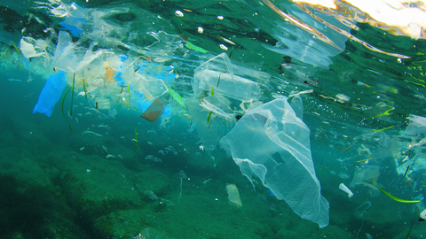 Plastic litter in our oceans