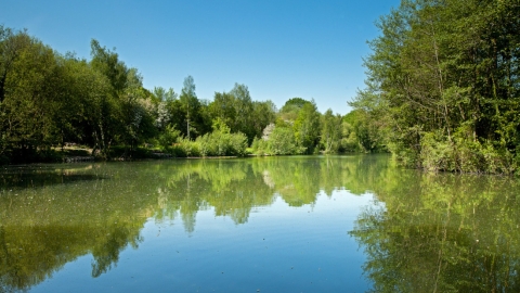 Swanwick Lakes Nature Reserve Walk | Hampshire and Isle of Wight ...