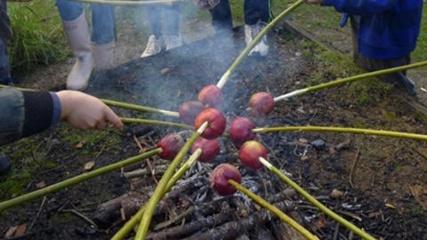 Campfire Cooking Toffee Apples 