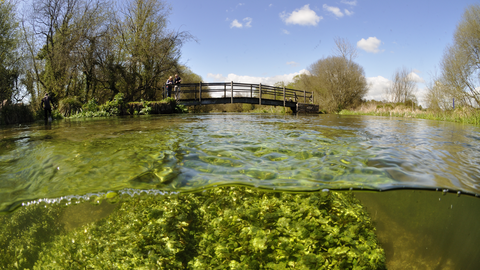 River Itchen © Linda Pitkin/2020VISION