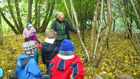 children in woodland