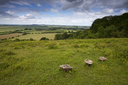 Broughton Down Nature Reserve © Mike Read