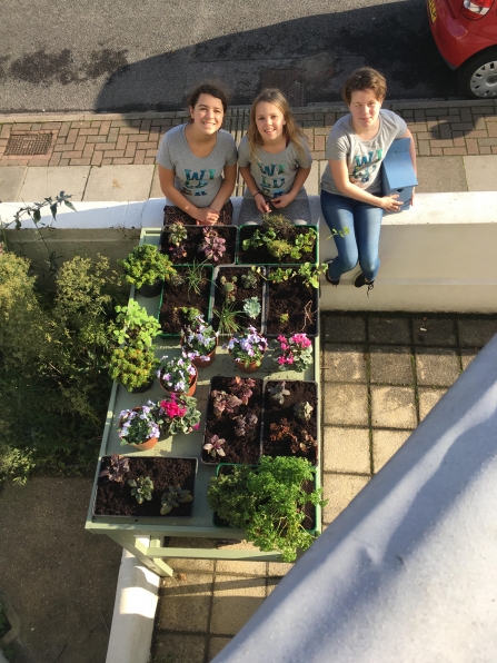 Aerial view of 'Green Roof' of bin shelter