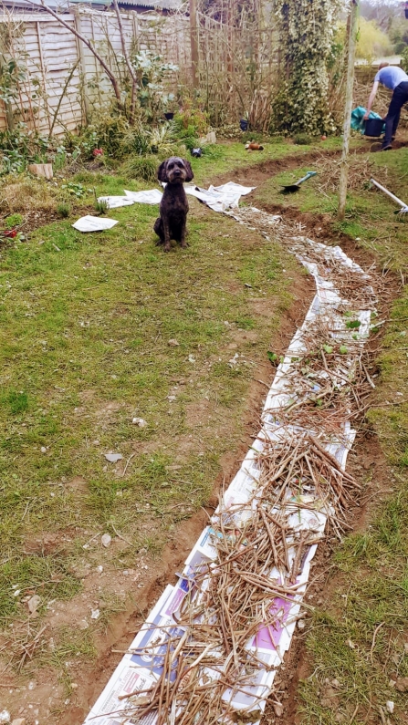 A bark path in garden