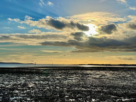 Lepe survey sunset