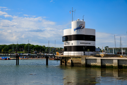 Lobster mural at Hamble Harbour © Siân Addison