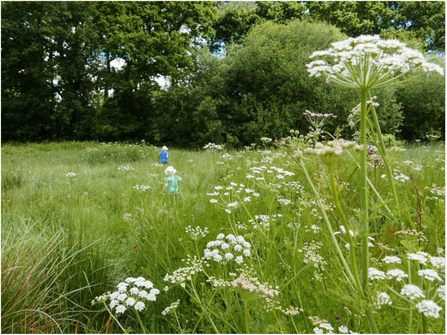 Children running in meadow