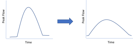 Beaver dam graph