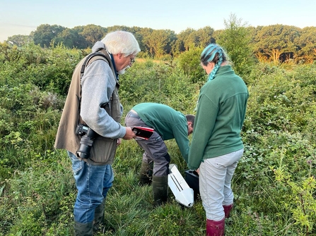 Three people stood around moth trap. Surrounded by green vegetation.