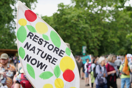 Leaf shaped banner reading 'RESTORE NATURE NOW'