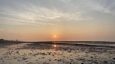 A beach at low tide during sunrise